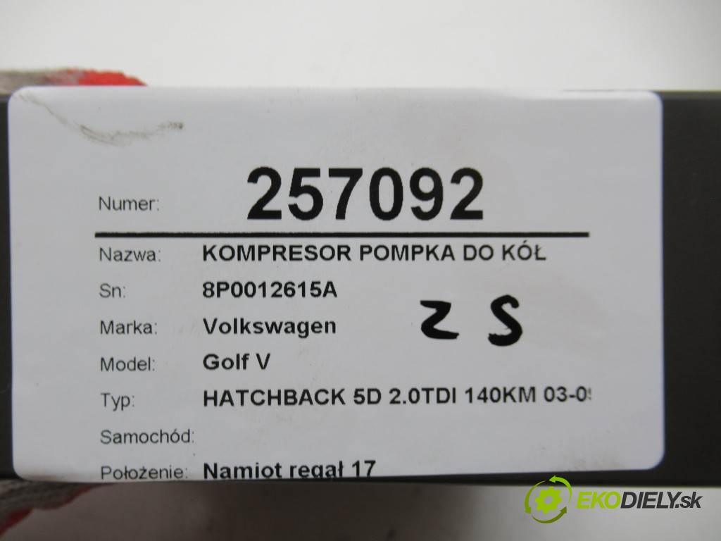 Volkswagen Golf V    HATCHBACK 5D 2.0TDI 140KM 03-09  Kompresor motorek do pneumatík 8P0012615A (Ostatní)