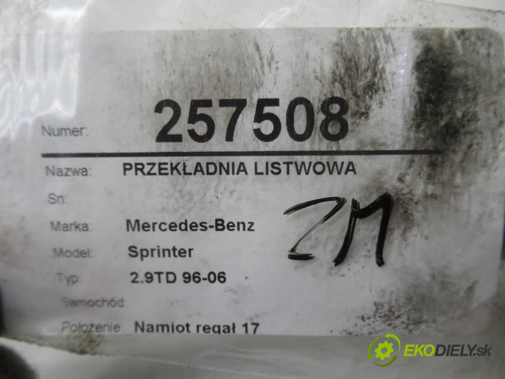 Mercedes-Benz Sprinter    2.9TD 96-06  riadenie -  (Riadenia)