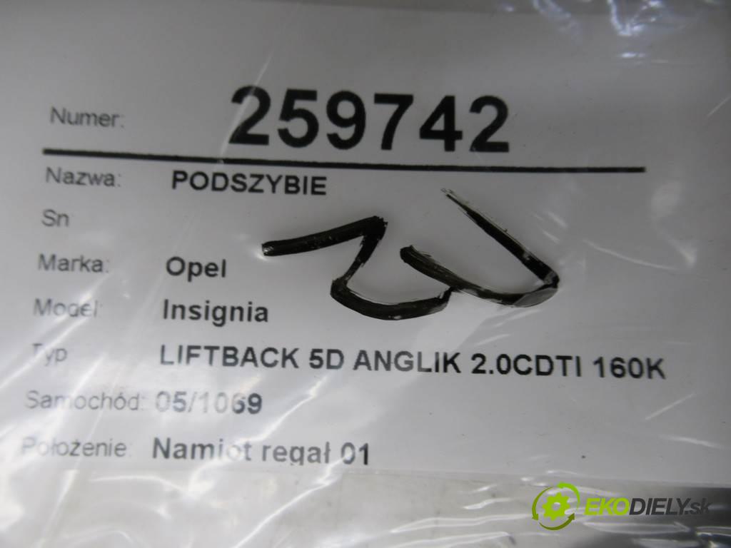 Opel Insignia  2010  LIFTBACK 5D ANGLIK 2.0CDTI 160KM 08-13 2000 Torpédo, plast pod čelné okno 13243480 (Torpéda)