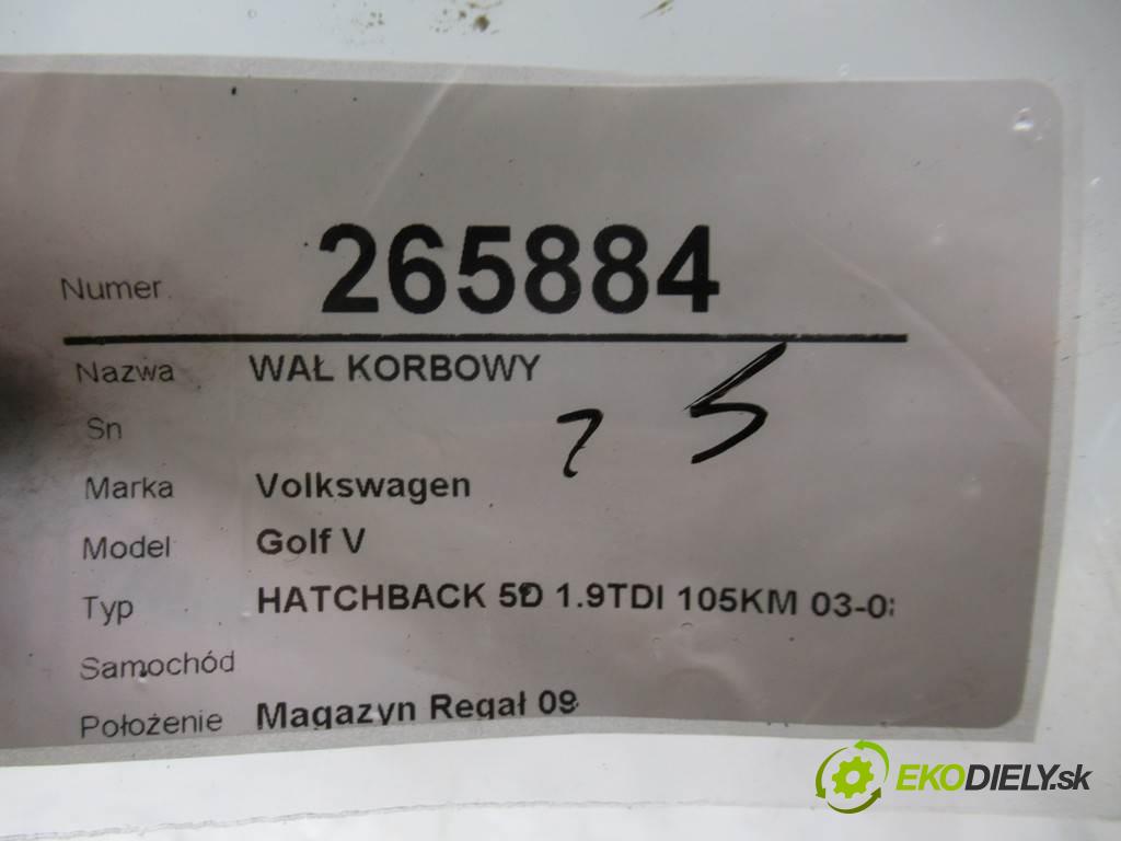 Volkswagen Golf V    HATCHBACK 5D 1.9TDI 105KM 03-08  Kardaň, hriadeľ kľukový BKC (Ostatné)