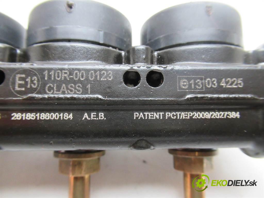 . .    A  vstřikovače do plynového pedálu LPG 67R-010290 AEBINJ