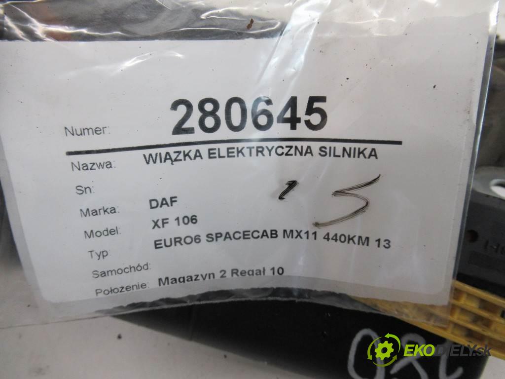 DAF XF 106    EURO6 SPACECAB MX11 440KM 13-  káblovačka elektrická motora 1920262 (Soustavy elektrických kabelů)