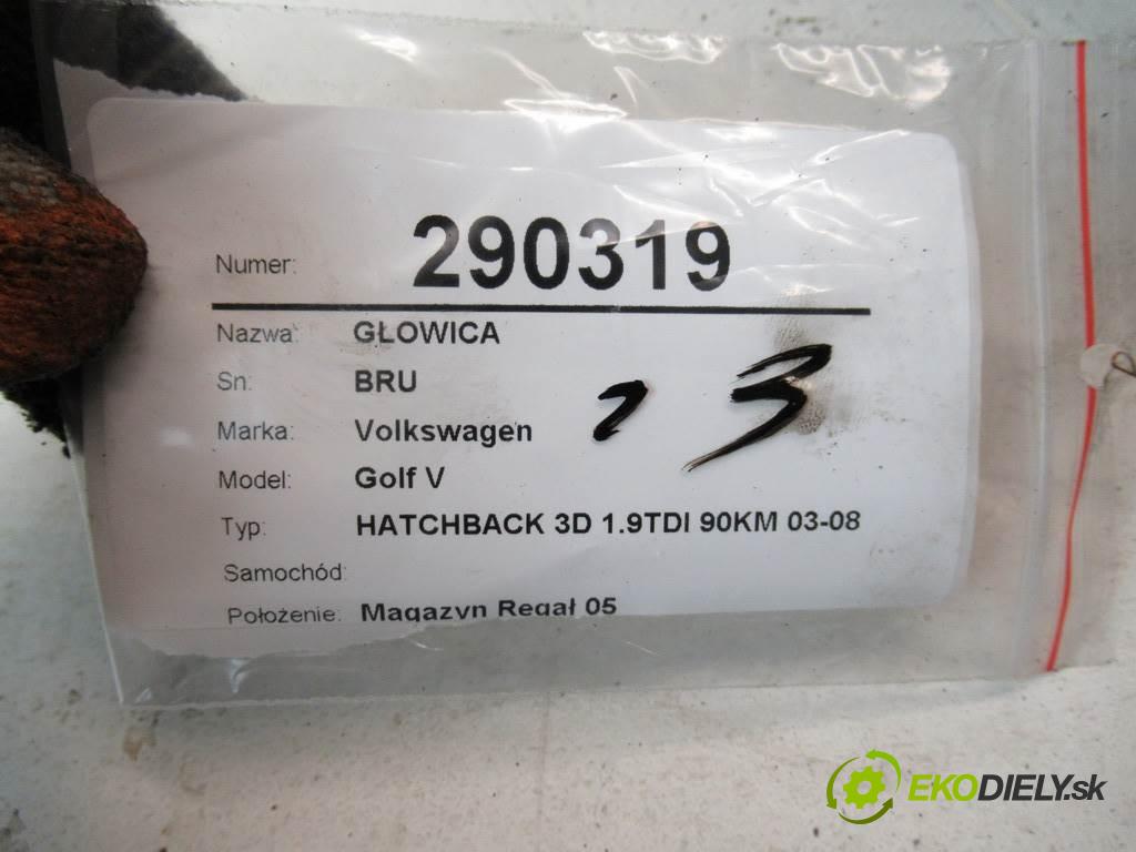 Volkswagen Golf V    HATCHBACK 3D 1.9TDI 90KM 03-08  Hlava valcov BRU (Hlavy valcov)