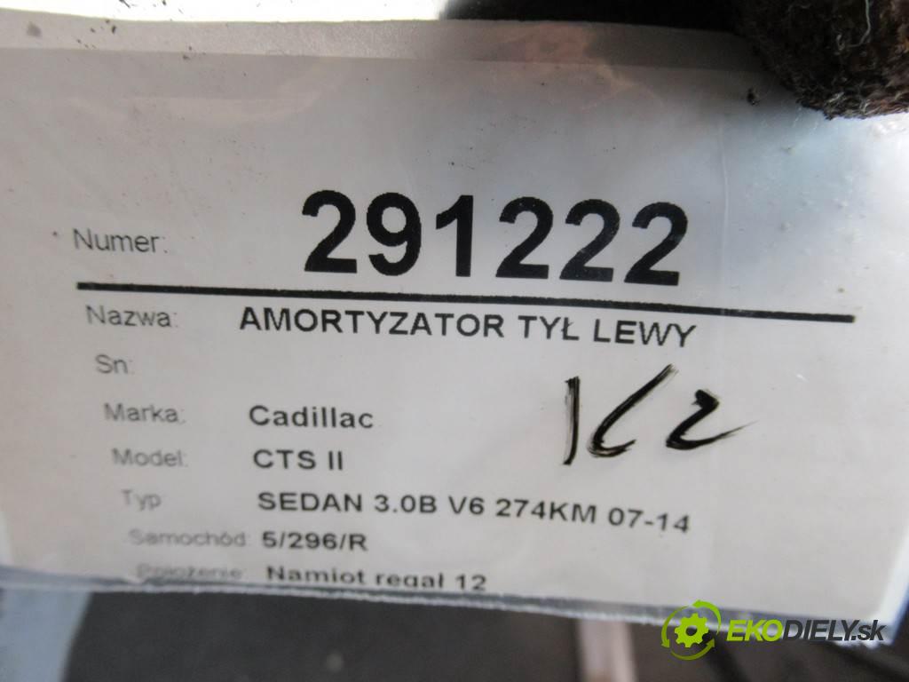 Cadillac CTS II  2012 183KW SEDAN 3.0B V6 274KM 07-14 3000 Tlmič zad ľavy  (Ostatné)