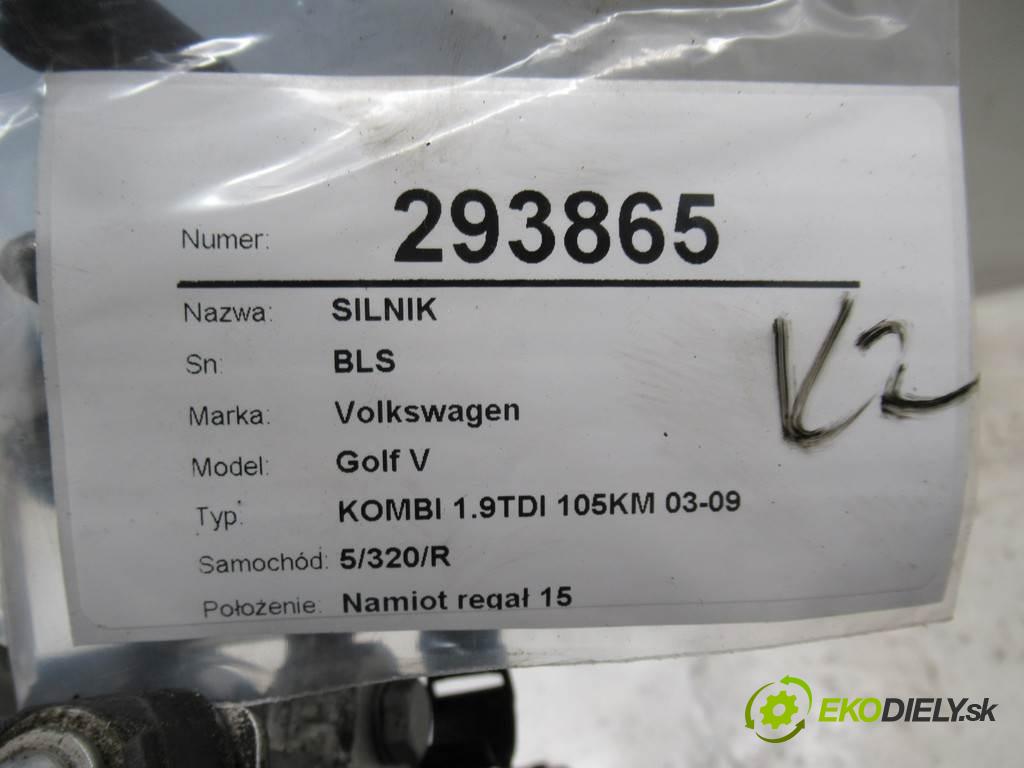 Volkswagen Golf V  2009 77 kW KOMBI 1.9TDI 105KM 03-09 1900 Motor BLS (Motory (kompletné))