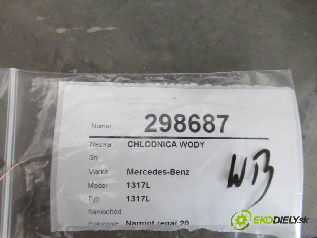 Mercedes-Benz 1317L    1317L  Chladič vody