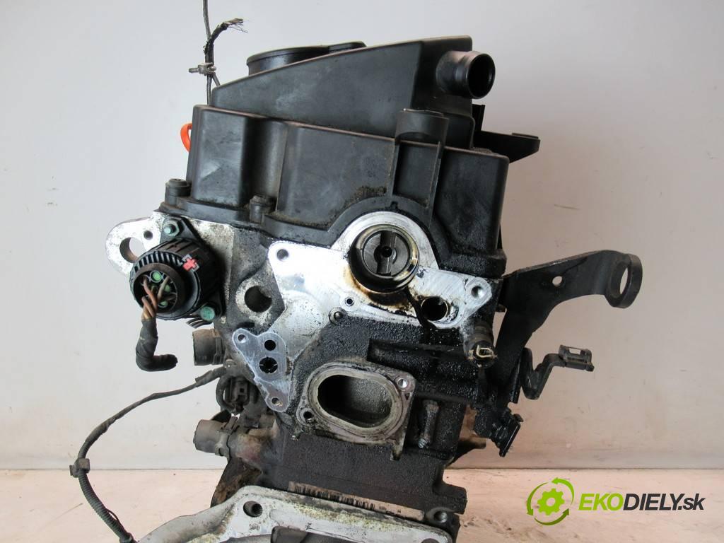 Volkswagen Caddy  2006 77 kW 2K 1.9TDI 105KM 03-10 1900 motor BLS (Motory (kompletní))