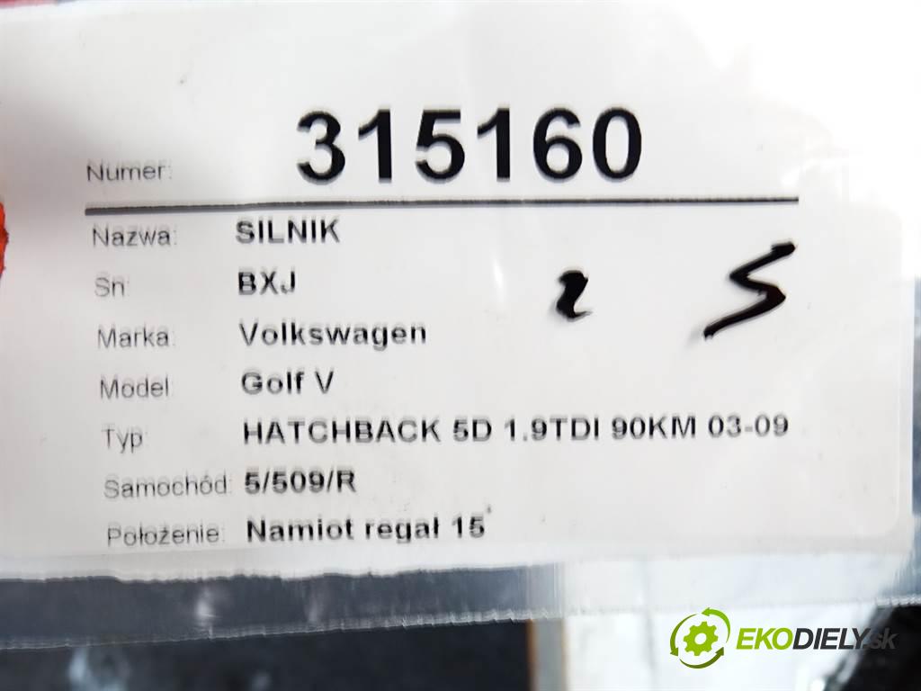 Volkswagen Golf V  2009 66 kW HATCHBACK 5D 1.9TDI 90KM 03-09 1900 motor BXJ (Motory (kompletní))