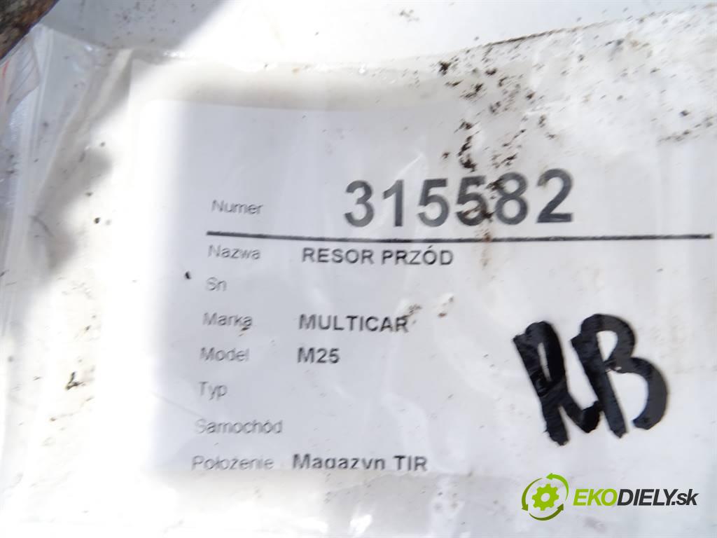 MULTICAR M25    .  Listové pero predný