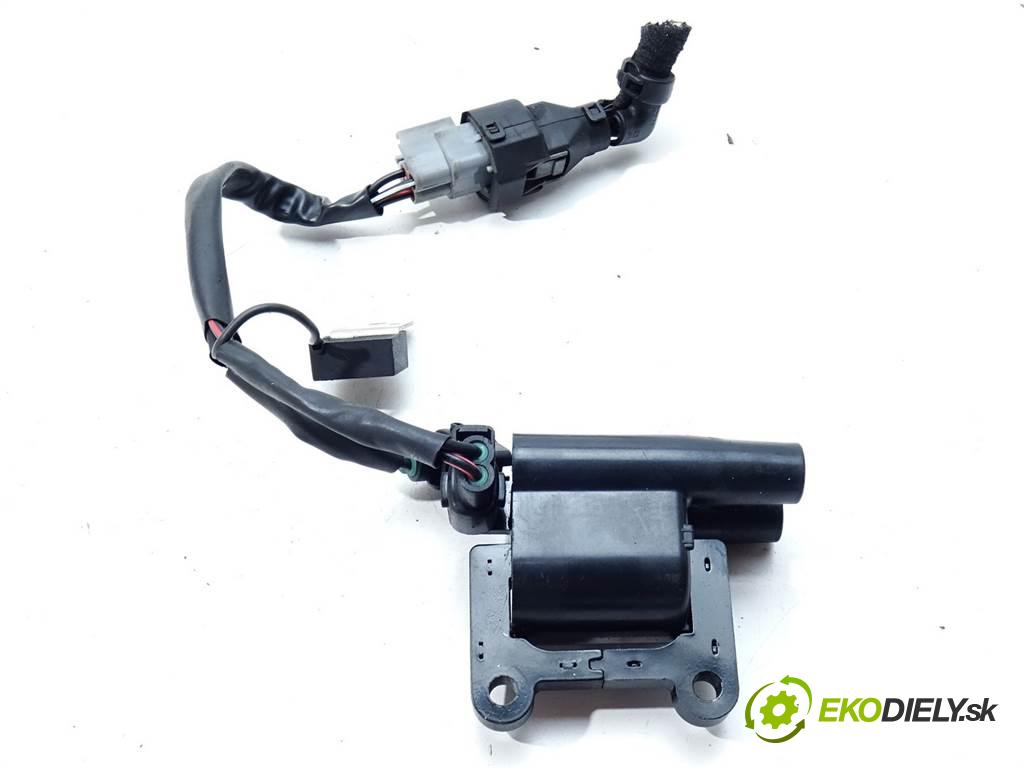 Hyundai Tucson    SUV 2.0B 141KM 04-09  Cievka zapaľovacia  (Zapaľovacie cievky, moduly)