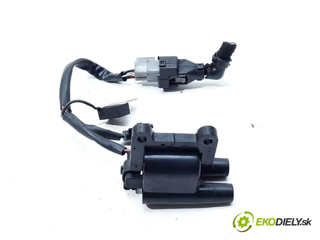 Hyundai Tucson    SUV 2.0B 141KM 04-09  Cievka zapaľovacia  (Zapaľovacie cievky, moduly)