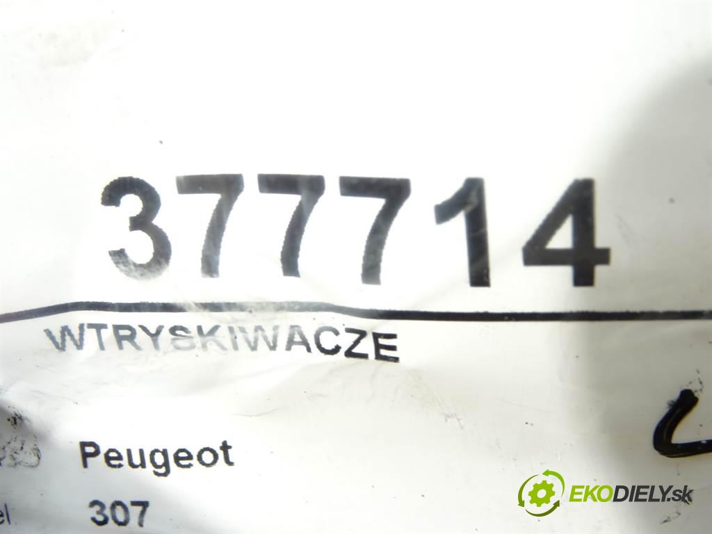 Peugeot 307  2002  HATCHBACK 5D 2.0HDI 107KM 01-05 2000 Vstrekovacie ventily 0445110078 (Vstrekovacie ventily)