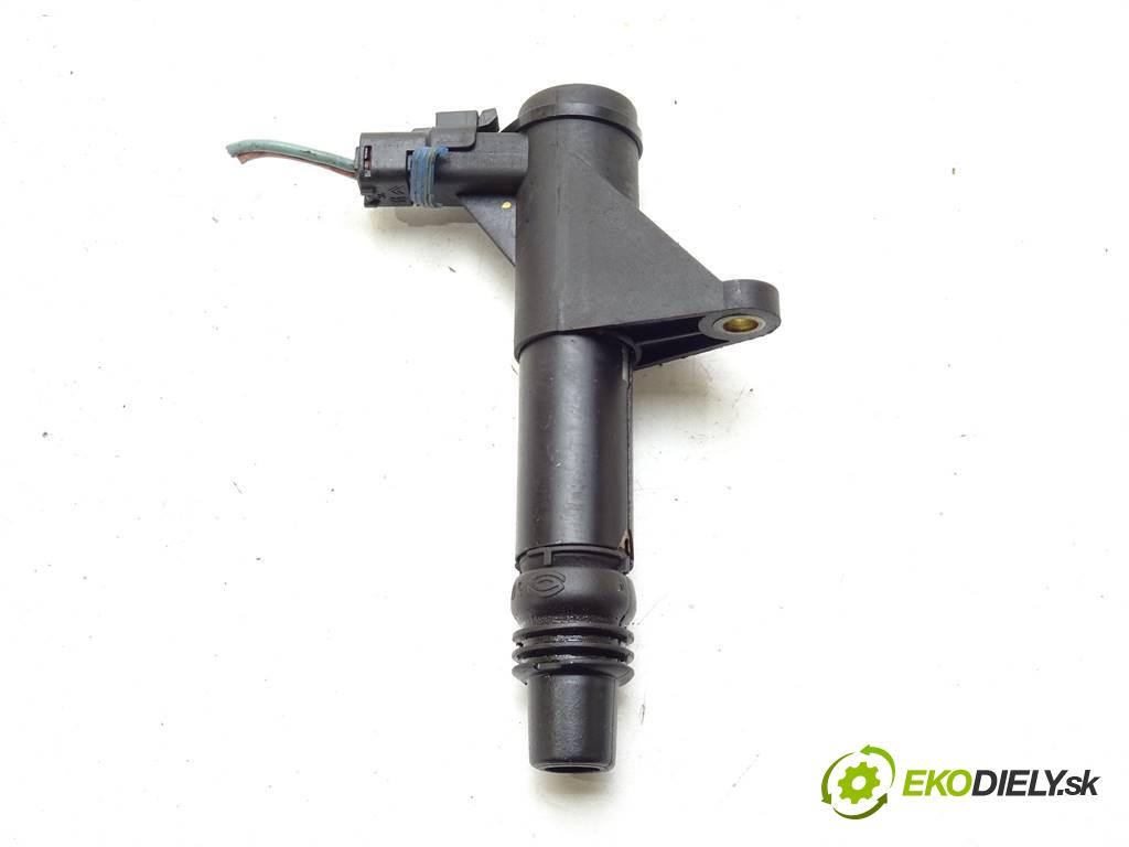 Citroen C5  2001 152 kW HATCHBACK 5D 3.0B V6 207KM 01-04 3000 Cievka zapaľovacia 2527329 (Zapaľovacie cievky, moduly)