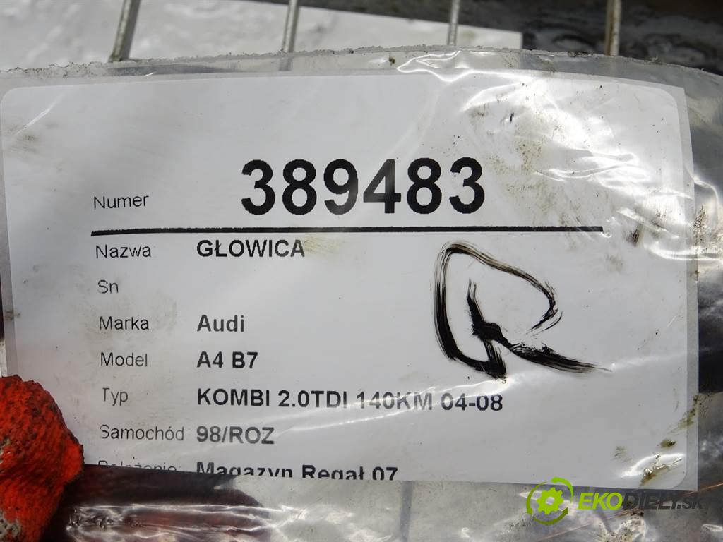 Audi A4 B7  2006 103 kW KOMBI 2.0TDI 140KM 04-08 2000 Hlava valcov BKD (Hlavy valcov)