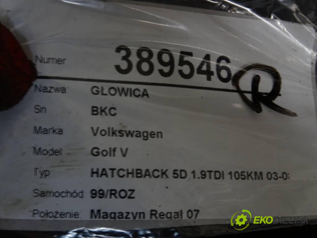 Volkswagen Golf V  2004 77 kW HATCHBACK 5D 1.9TDI 105KM 03-08 1900 Hlava valcov BKC (Hlavy valcov)