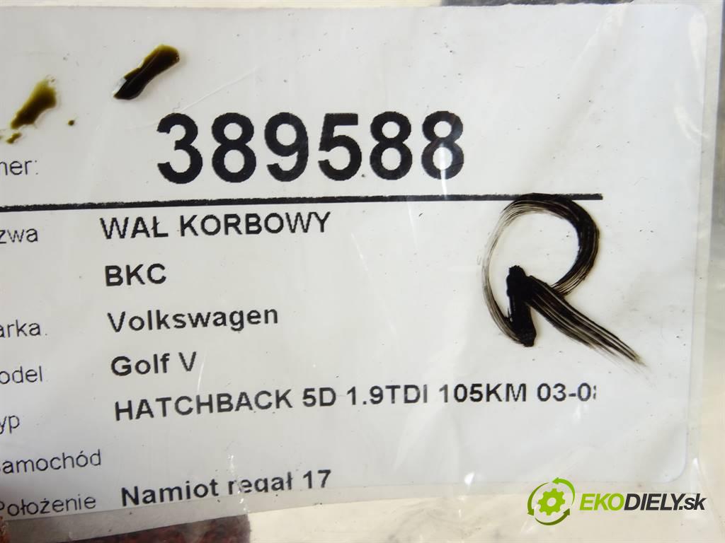 Volkswagen Golf V    HATCHBACK 5D 1.9TDI 105KM 03-08  kardaň hřídel KORBOVÝ: BKC (Ostatní)