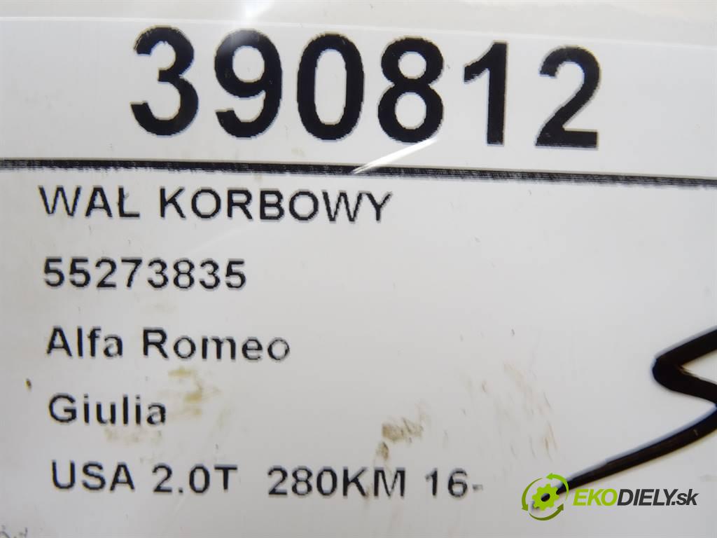 Alfa Romeo Giulia    USA 2.0T  280KM 16-  Kardaň, hriadeľ KLIKA: 55273835 (Ostatné)