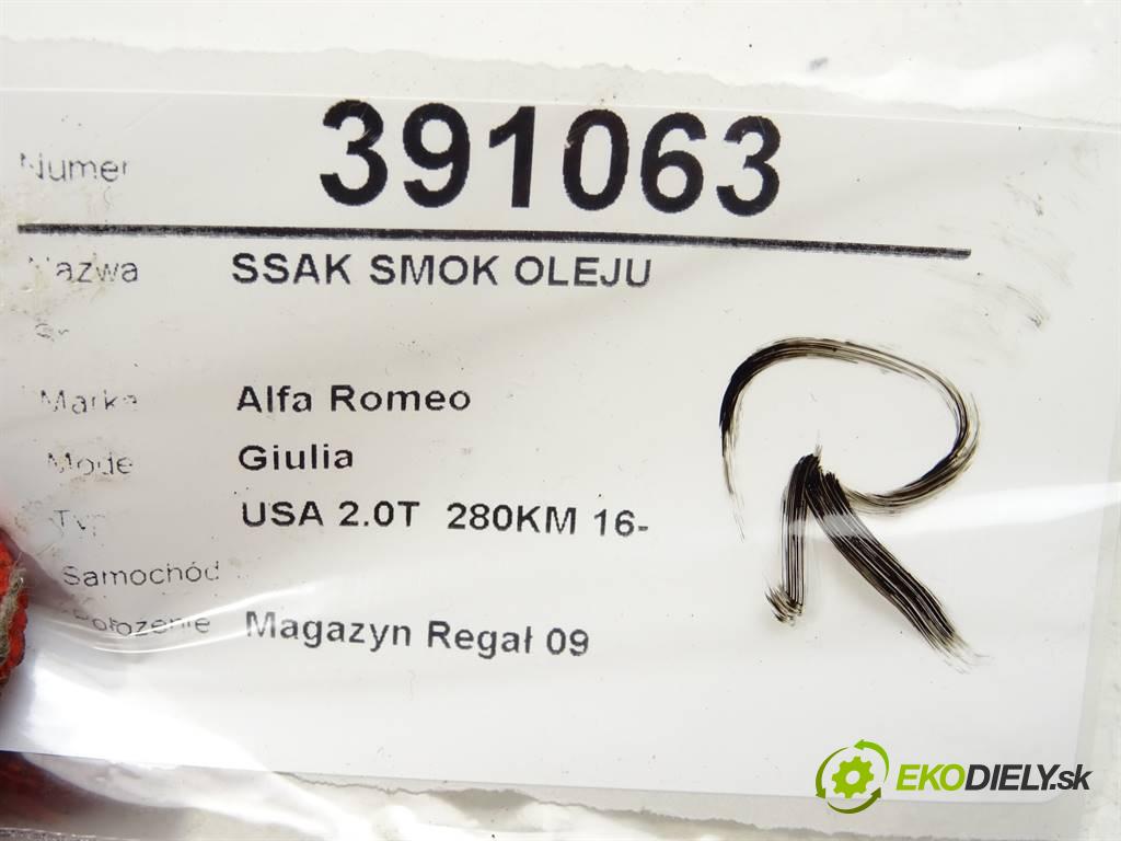Alfa Romeo Giulia    USA 2.0T  280KM 16-  DRAK: oleje 05048083AB