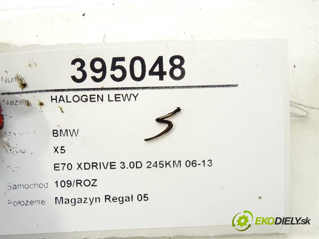 BMW X5  2011 245KM E70 XDRIVE 3.0D 245KM 06-13 3000 hmlové svetlo, hmlovka levý 7237433