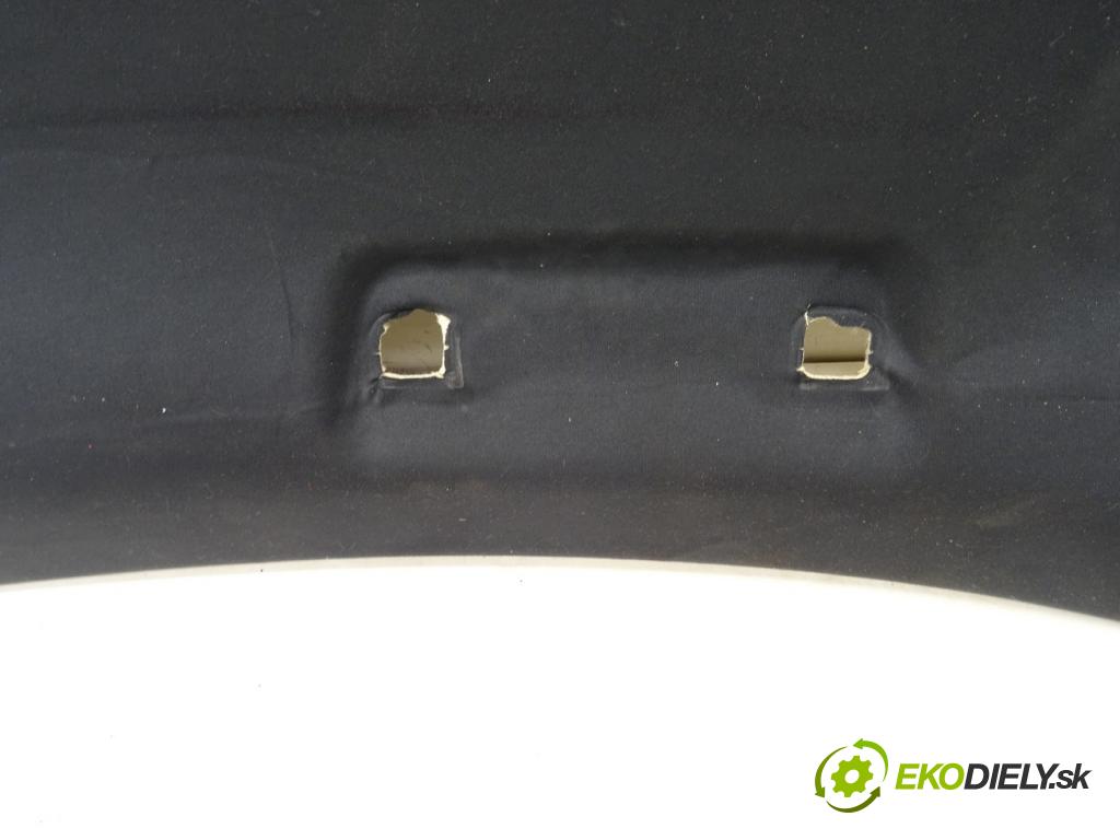 LEXUS RC (_C1_) 2014 - 2022    F (USC10_) 351 kW [477 KM] benzyna 2014 - 2022  Stropný tapacír  (Stropné tapacíre)