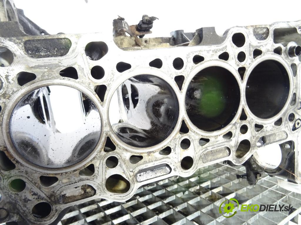 HONDA CR-V III (RE_) 2006 - 2022    2.2 i-CTDi 4WD (RE6) 103 kW [140 KM] olej napędowy  blok Motor N22A2 (Blok motora)