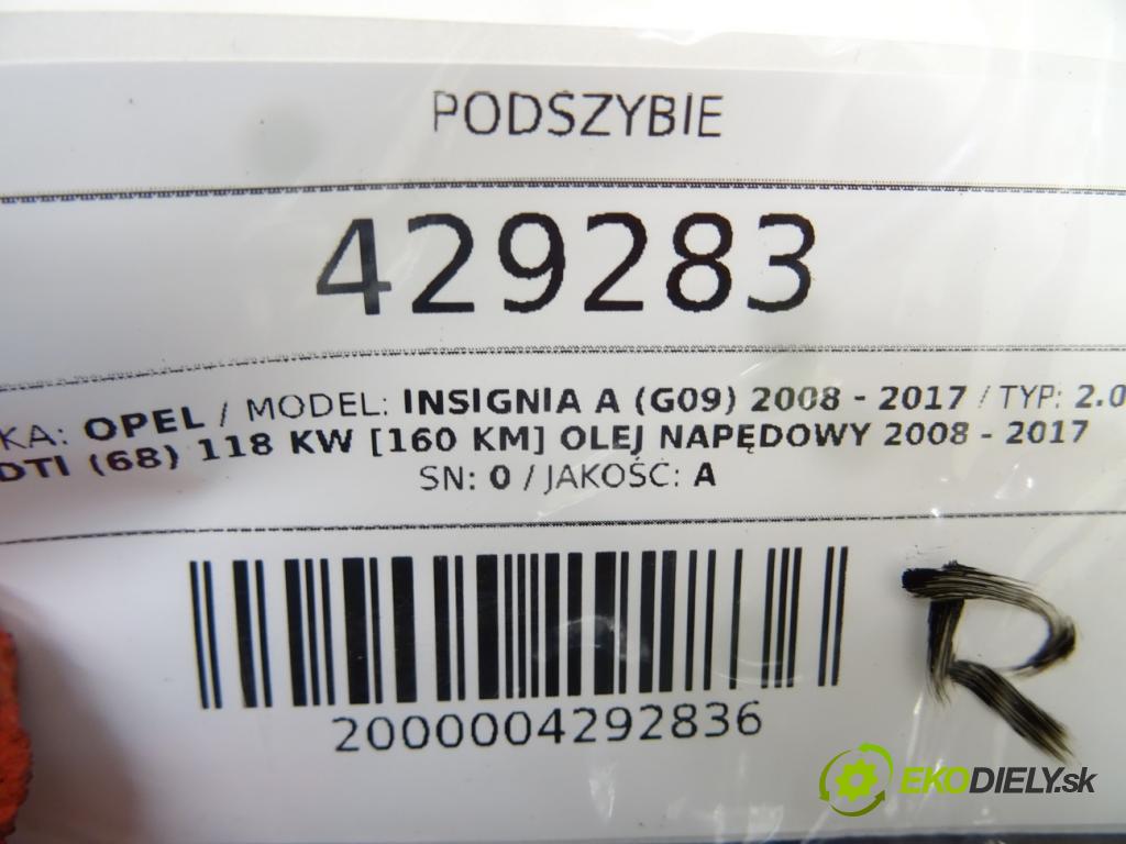 OPEL INSIGNIA A (G09) 2008 - 2017    2.0 CDTI (68) 118 kW [160 KM] olej napędowy 2008 -  Torpédo, plast pod čelné okno 13224209 (Torpéda)