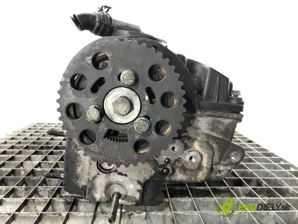 VW PASSAT B5.5 (3B3) 2000 - 2005    2.0 TDI 100 kW [136 KM] olej napędowy 2003 - 2005  Hlava valcov BGW (Hlavy valcov)