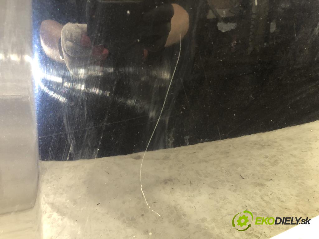 VW PHAETON (3D1, 3D2, 3D3, 3D4, 3D6, 3D7, 3D8, 3D9) 2002 - 2016    5.0 V10 TDI 4motion 230 kW [313 KM] olej napędowy   kapota