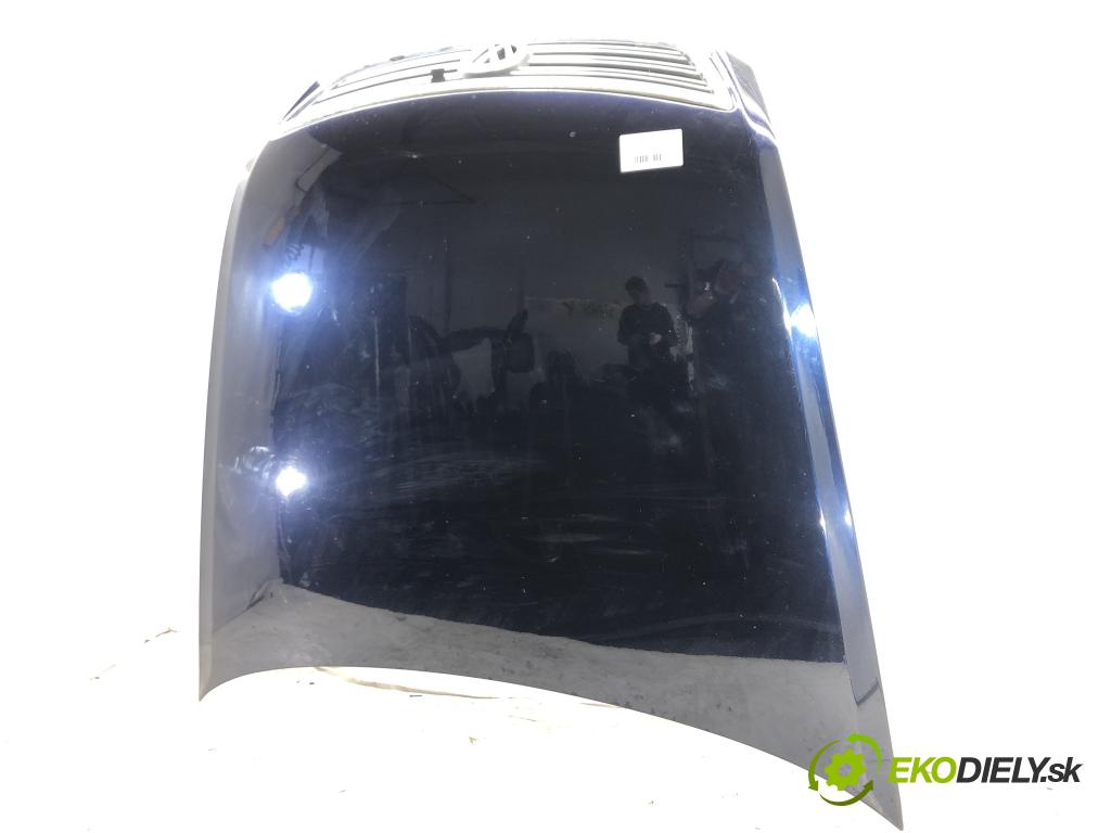 VW PHAETON (3D1, 3D2, 3D3, 3D4, 3D6, 3D7, 3D8, 3D9) 2002 - 2016    5.0 V10 TDI 4motion 230 kW [313 KM] olej napędowy   kapota