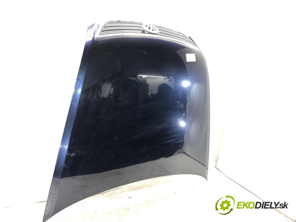 VW PHAETON (3D1, 3D2, 3D3, 3D4, 3D6, 3D7, 3D8, 3D9) 2002 - 2016    5.0 V10 TDI 4motion 230 kW [313 KM] olej napędowy   kapota