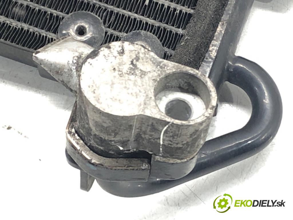 SEAT IBIZA III (6L1) 2002 - 2009    1.9 TDI 74 kW [100 KM] olej napędowy 2002 - 2009  Chladič klimatizácie 6Q0820411E (Chladiče klimatizácie)