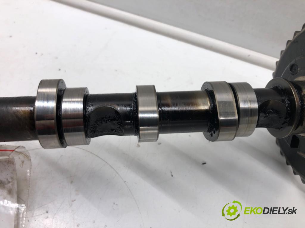 AUDI A6 C6 Avant (4F5) 2004 - 2011    2.7 TDI 140 kW [190 KM] olej napędowy 2008 - 2011  vačka (vačkový hriadeľ) 059109105G (Vačkové hriadele)