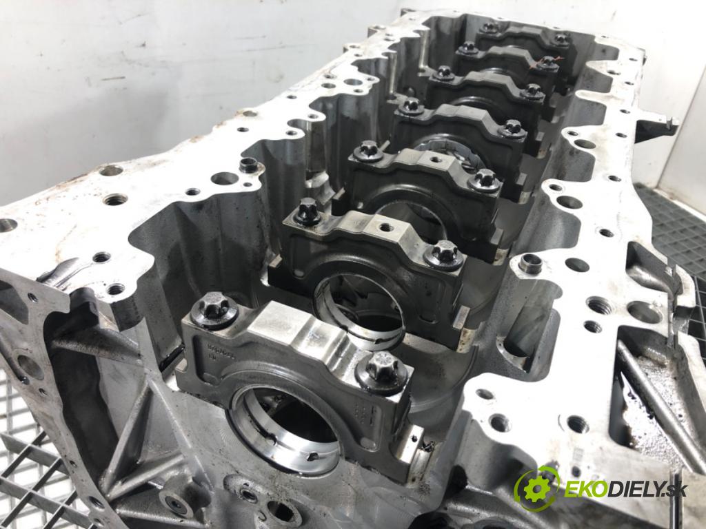 BMW 5 Touring (F11) 2009 - 2017    530 d 190 kW [258 KM] olej napędowy 2011 - 2017  blok Motor N57D30A (Blok motora)
