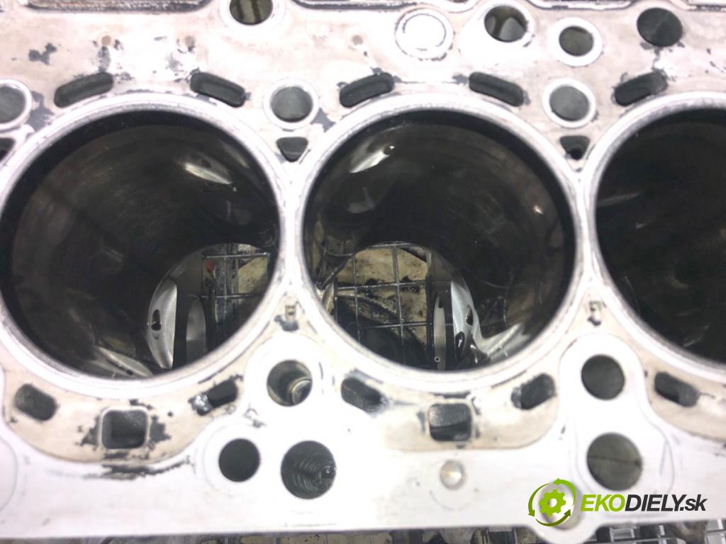 BMW 5 Touring (F11) 2009 - 2017    530 d 190 kW [258 KM] olej napędowy 2011 - 2017  blok Motor N57D30A (Blok motora)