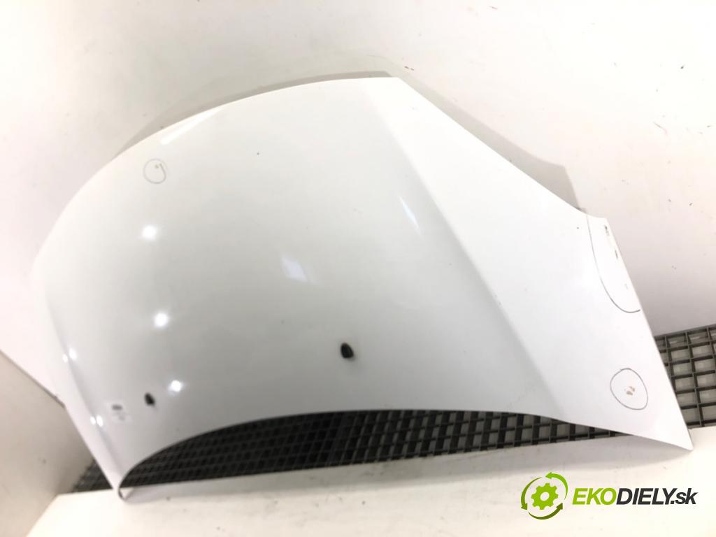 CITROEN C3 II (SC_) 2009 - 2022    1.4 HDi 70 50 kW [68 KM] olej napędowy 2009 - 2022  Kapota  (Kapoty)