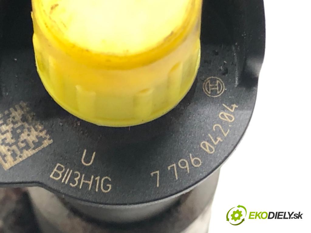 BMW E61 Kombi 2008 173 kW 530 d 2993 Vstrekovacie ventily 7796042