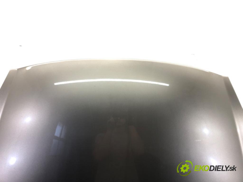 FIAT BRAVO II (198_) 2006 - 2022    1.9 D Multijet (198AXB1A) 88 kW [120 KM] olej napę  kapota