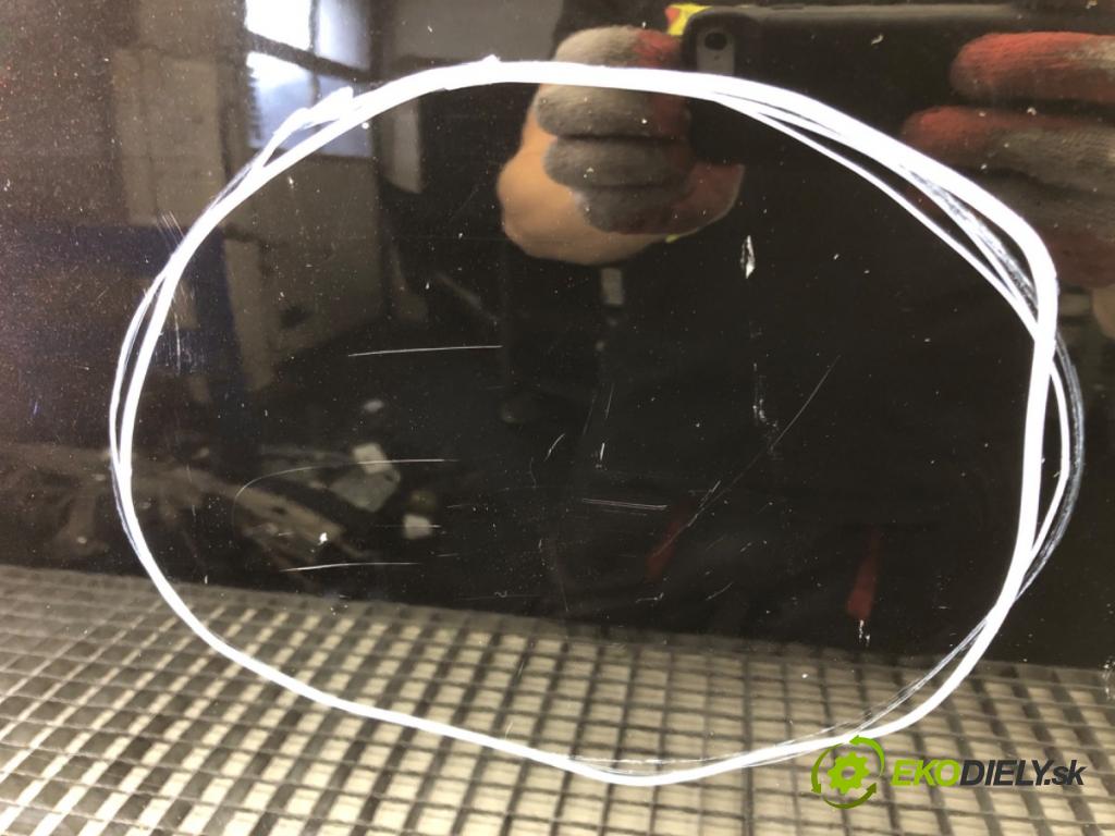 FIAT PUNTO EVO liftback 2010 57 kW 1.4 (199AXB1A) 1368 Dvere pravy predný