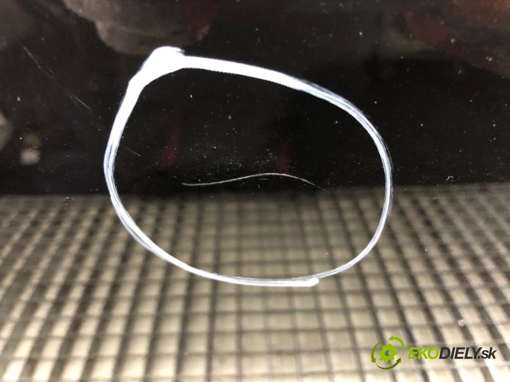 FIAT PUNTO EVO liftback 2010 57 kW 1.4 (199AXB1A) 1368 Dvere pravy predný