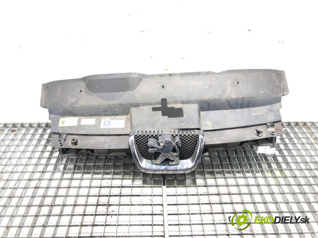 PEUGEOT 407 (6D_) 2004 - 2011    2.0 HDi 135 (6DRHRH, 6DRHRE, 6DRHRG, 6DRHRJ) 100 k  mřížka maska  (Mřížky (masky) chladičů)