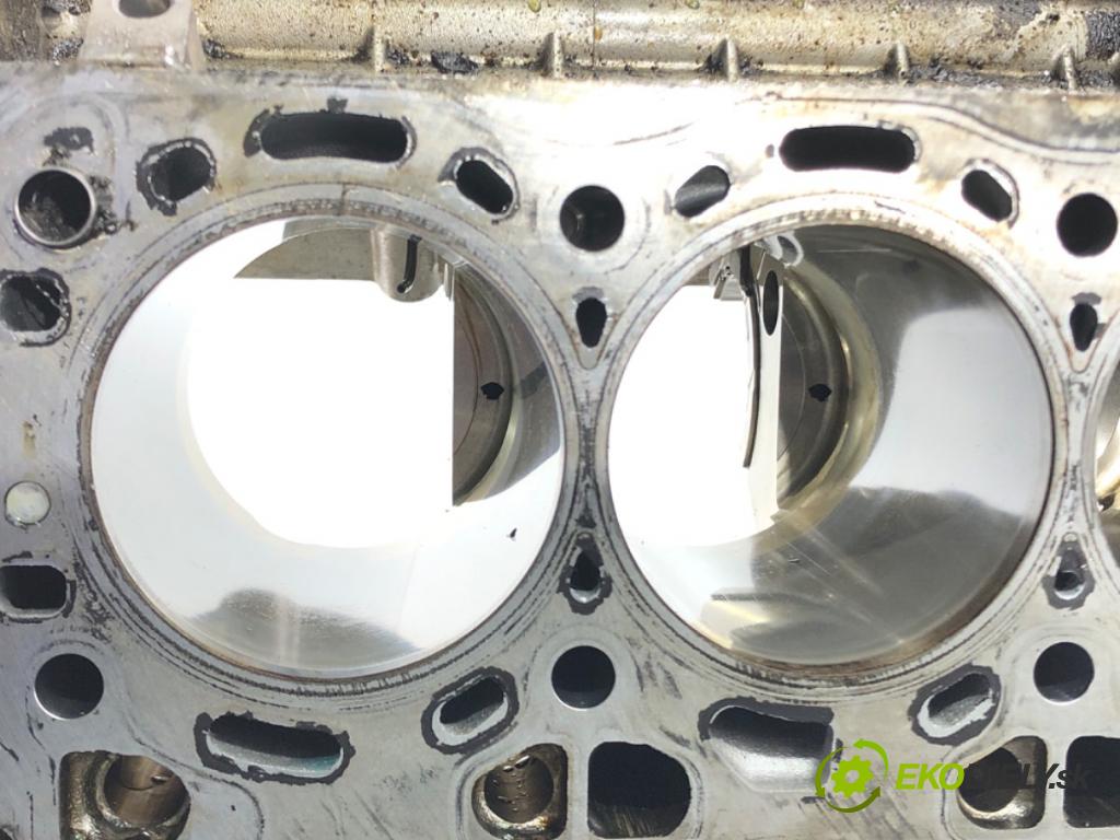 BMW 7 (F01, F02, F03, F04) 2008 - 2015    750 i, Li 300 kW [408 KM] benzyna 2008 - 2012  blok Motor N63B44A (Blok motora)