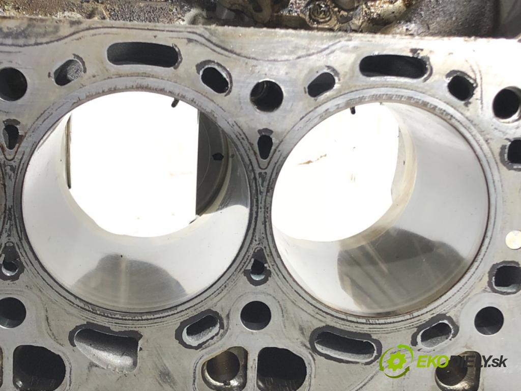 BMW 7 (F01, F02, F03, F04) 2008 - 2015    750 i, Li 300 kW [408 KM] benzyna 2008 - 2012  blok Motor N63B44A (Blok motora)