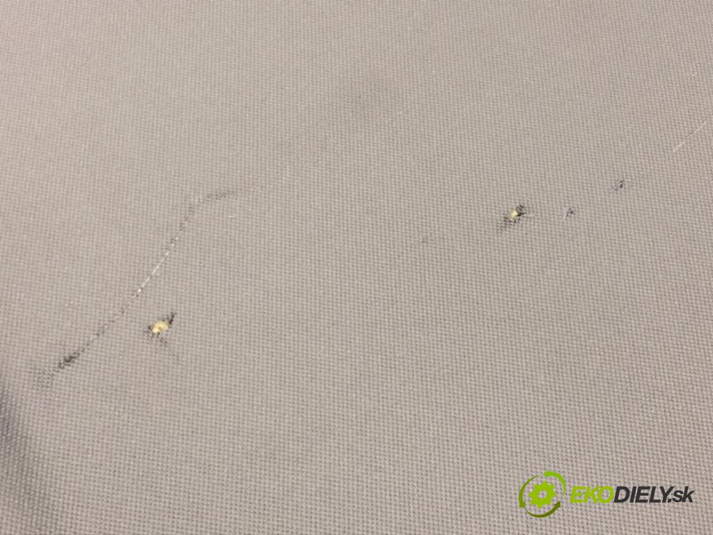 BMW 7 (F01, F02, F03, F04) 2008 - 2015    750 i, Li 300 kW [408 KM] benzyna 2008 - 2012  Stropný tapacír  (Stropné tapacíre)