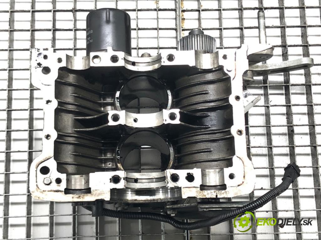 MICROCAR M8    M8  blok Motor LDW442 (Blok motora)