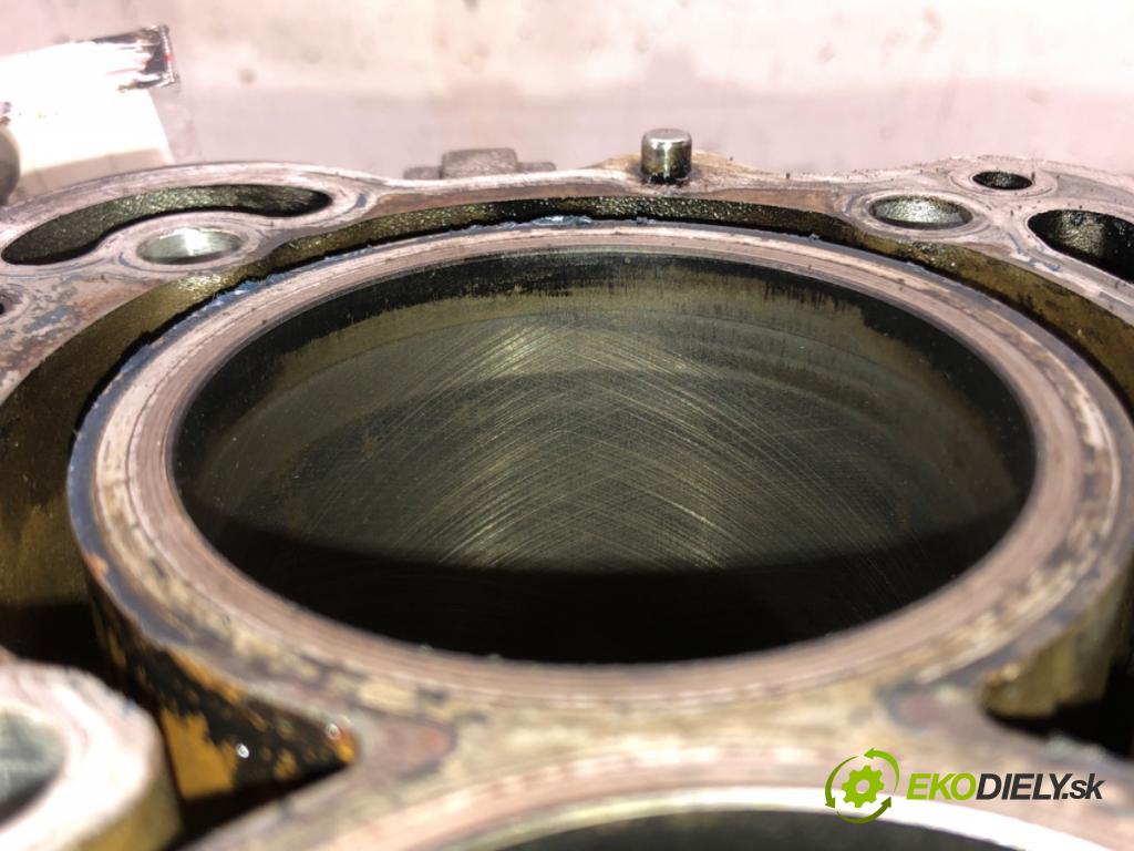 MICROCAR M8    M8  blok Motor LDW442 (Blok motora)