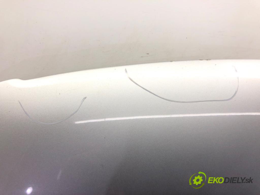 VW PASSAT B6 (3C2) 2005 - 2010    1.6 75 kW [102 KM] benzyna 2005 - 2010  kapota