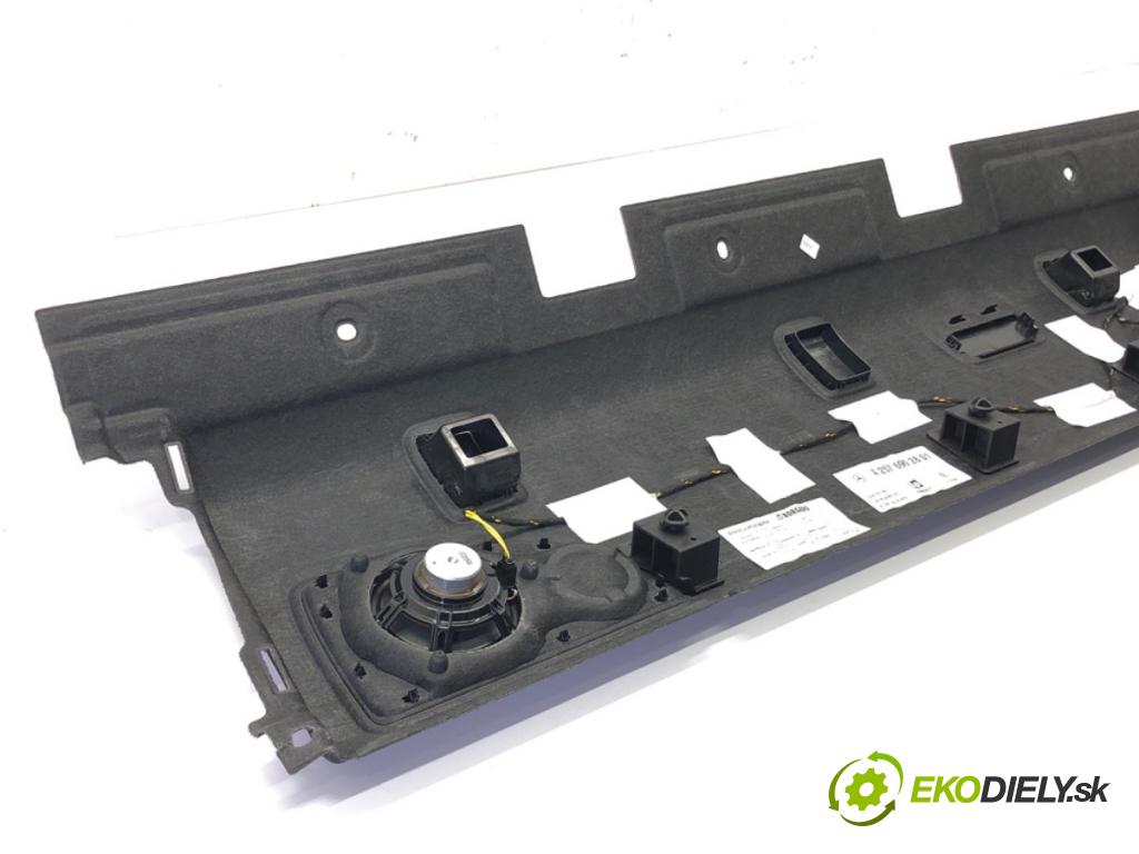 MERCEDES-BENZ CLS (C257) 2017 - 2022    AMG CLS 53 EQ Boost 4-matic+ (257.361) 320 kW [435  Pláto zadná A2576902801 (Pláta zadné)