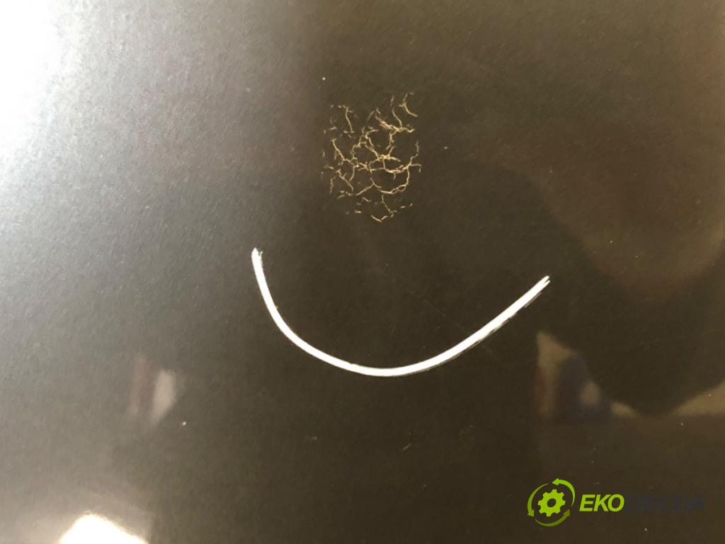 VW POLO (9N_, 9A_) 2001 - 2014    1.2 12V 47 kW [64 KM] benzyna 2001 - 2007  kapota  (Kapoty)