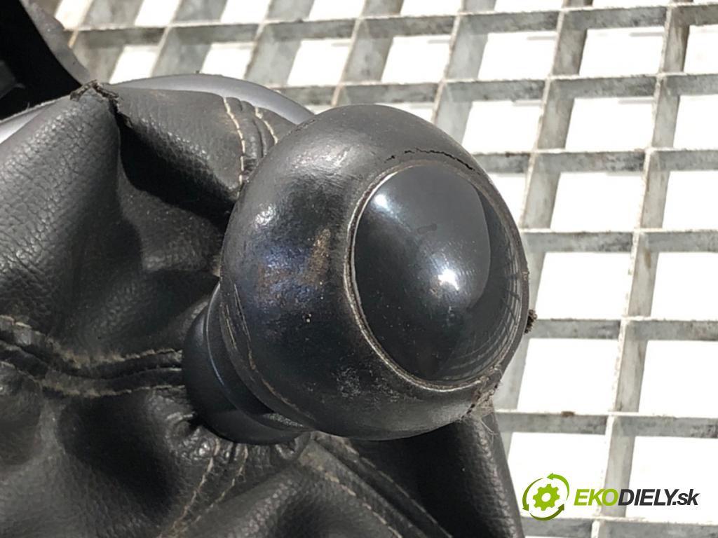 RENAULT SCÉNIC II (JM0/1_) 2003 - 2010    1.9 dCi (JM0G, JM12, JM1G, JM2C) 88 kW [120 KM] olej napędowy 2003 - 2006  Kulisa 8200520095 (Rýchlostné páky / kulisy)