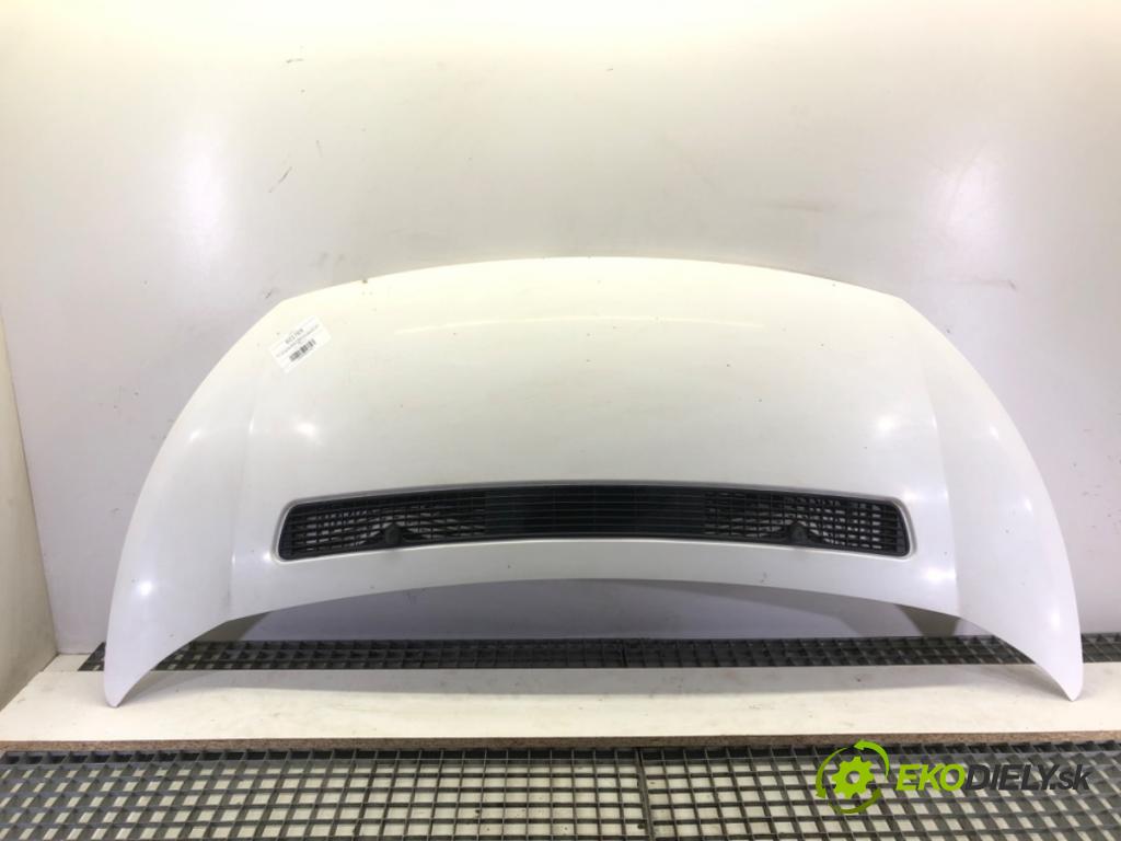 FIAT SCUDO Autobus (270_, 272_) 2007 - 2022    2.0 D Multijet 88 kW [120 KM] olej napędowy 2007 - 2022  kapota  (Kapoty)